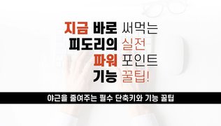 [오단기 2010~2019] 지금 바로 써먹는 피도리의 실전 파워포인트-종합편