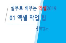 [HD]실무로 배우는 Excel 2019