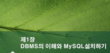 [HD]MySQL 기초에서 실무까지 완전정복 하기 - 초급 1(DBMS의 이해와 MySQL설치, SQL 기초 1)