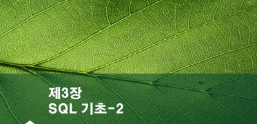 [HD]MySQL 기초에서 실무까지 완전정복 하기 - 초급 2(SQL 기초2, 데이터 형식과 내장함수)