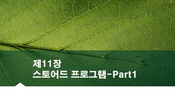 [HD]MySQL 기초에서 실무까지 완전정복 하기 - 고급 1(스토어드 프로그램)