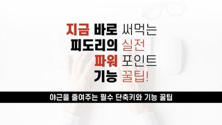 [오단기 2010~2019] 지금 바로 써먹는 피도리의 실전 파워포인트-기능 꿀팁