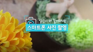 일상이 더 즐거워지는 스마트폰 사진 촬영