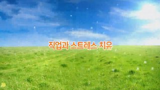 [기업과 사회복지] 직업과 스트레스 치유