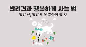 반려견과 행복하게 사는 법 (입양 전, 입양 후 꼭 알아야 할 것)