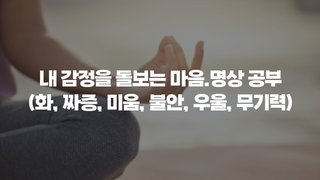 내 감정(화, 짜증, 미움, 불안, 우울, 무기력)을 돌보는 마음.명상 공부